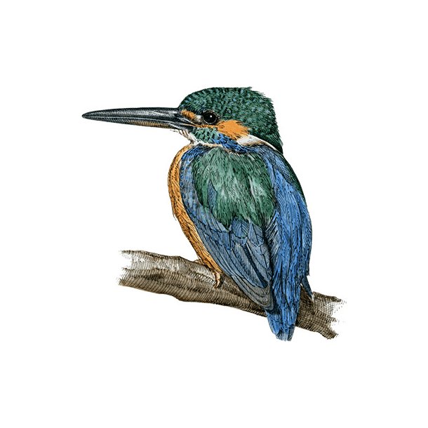 Farveblyant Tombow Irojiten forest green