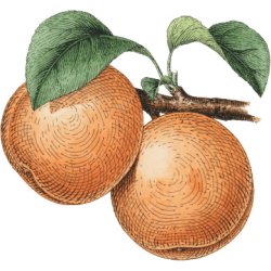 Farveblyant Tombow Irojiten russet brown