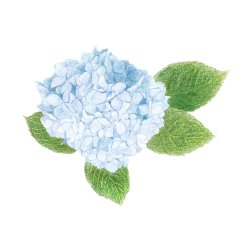 Farveblyant Tombow Irojiten sea fog