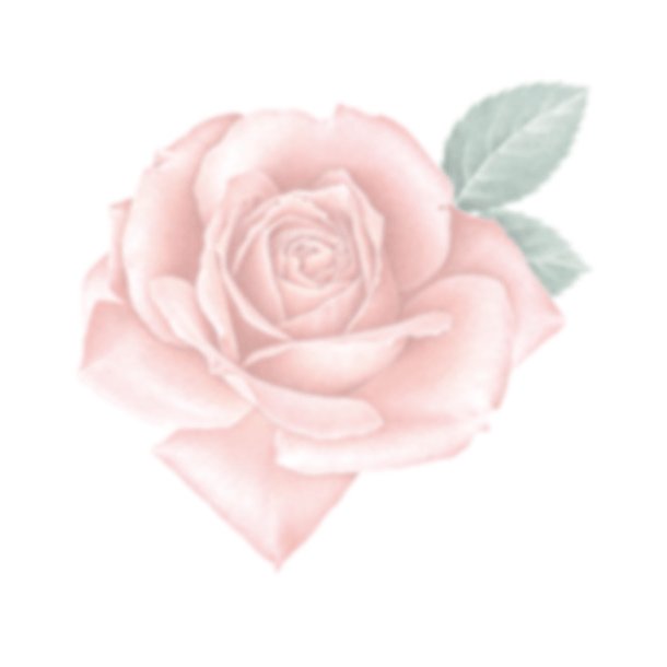 Farveblyant Tombow Irojiten shell pink