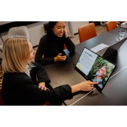 17.3'' Portable Touchscreen Monitor Full HD 1080p