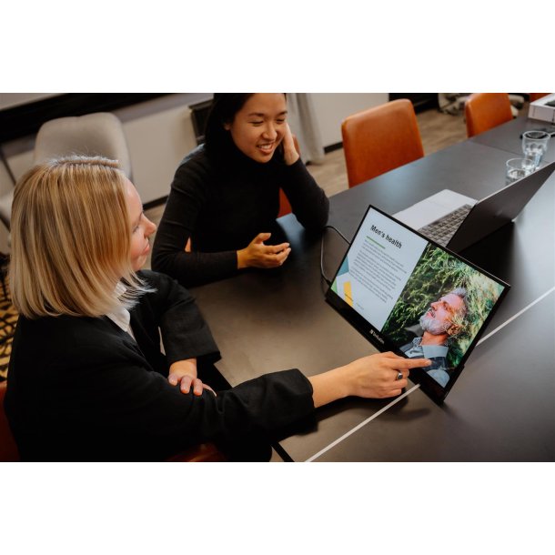 17.3'' Portable Touchscreen Monitor Full HD 1080p