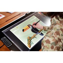 Wacom Cintiq Pro 24 Pen & Touch Display, Black
