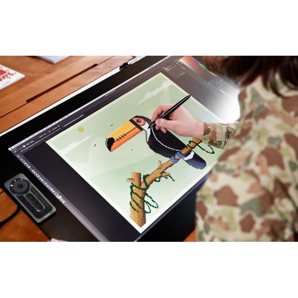 Wacom Cintiq Pro 24 Pen & Touch Display, Black